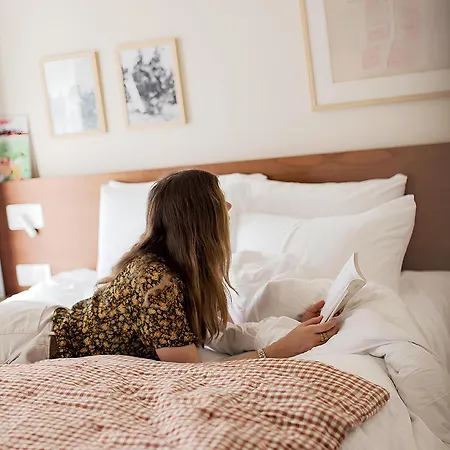 Alfred Centre Wilson - Renove 3*